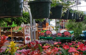 Outdoor Garden Centre at The Home Depot | Business | d4u.ca